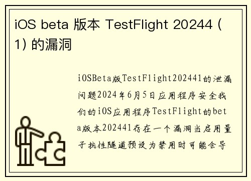 iOS beta 版本 TestFlight 20244 (1) 的漏洞 