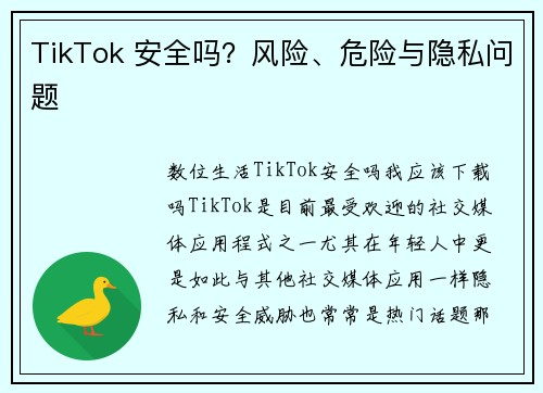 TikTok 安全吗？风险、危险与隐私问题